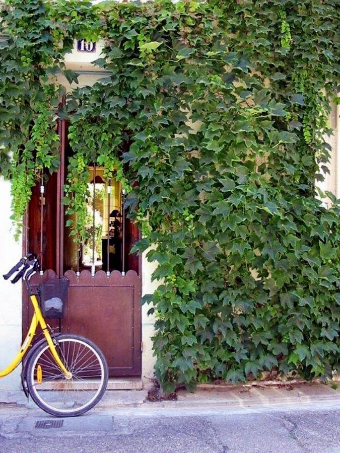 Chambre D'Hote Farniente 艾格-莫尔特 外观 照片